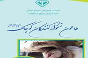 آشنایی با طاعون نشخوارکنندگان کوچک PPR